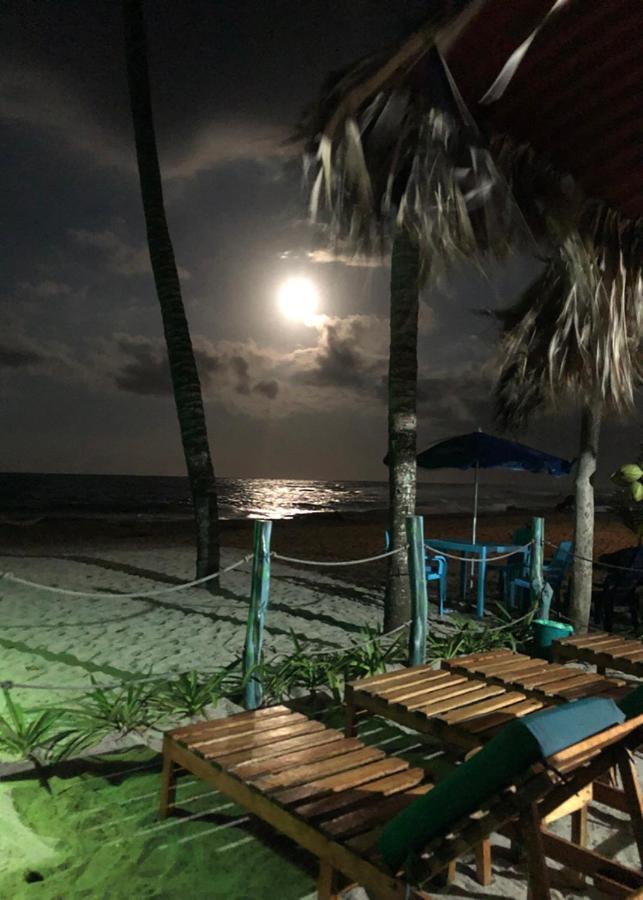 Palmario Hostal Guachaca Exterior photo