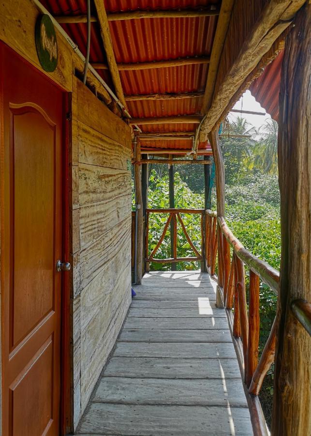 Palmario Hostal Guachaca Exterior photo