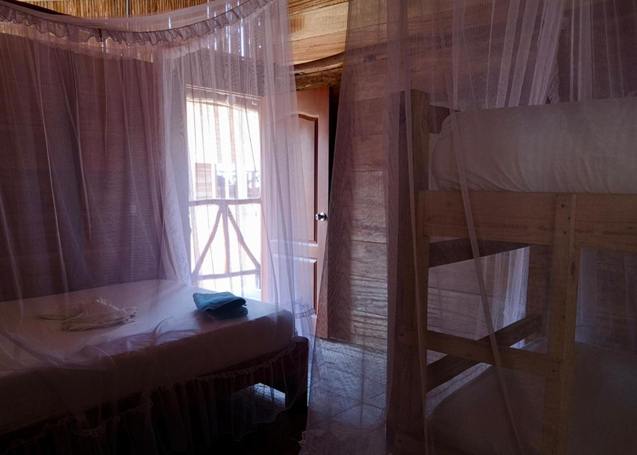 Palmario Hostal Guachaca Exterior photo