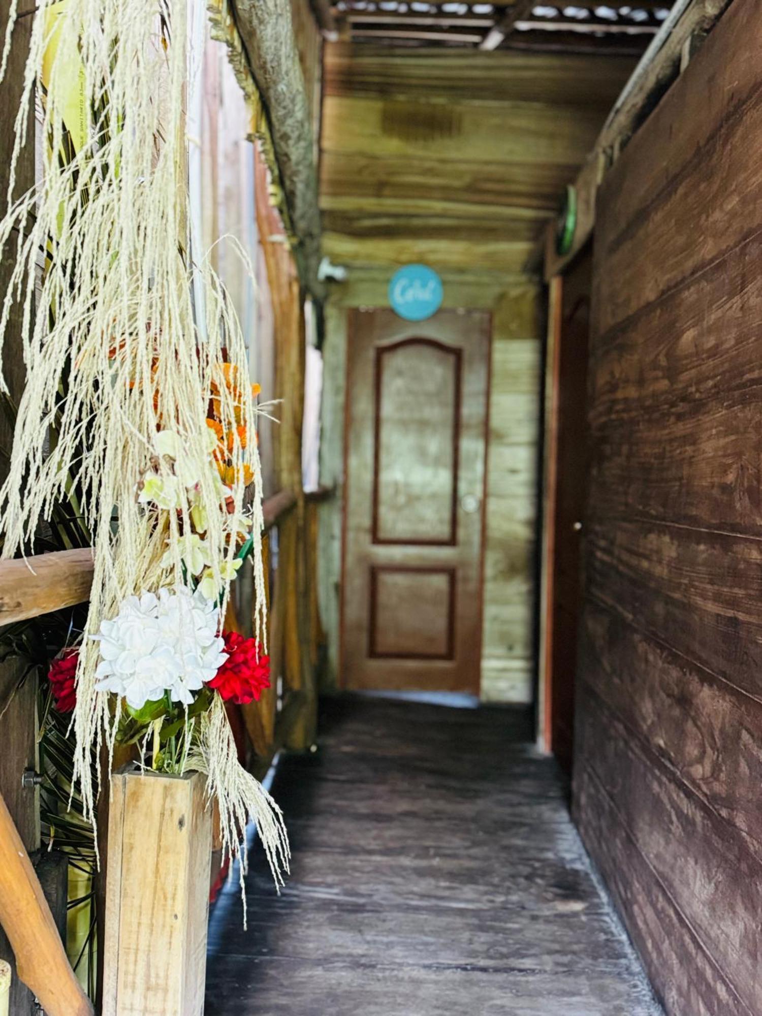 Palmario Hostal Guachaca Exterior photo